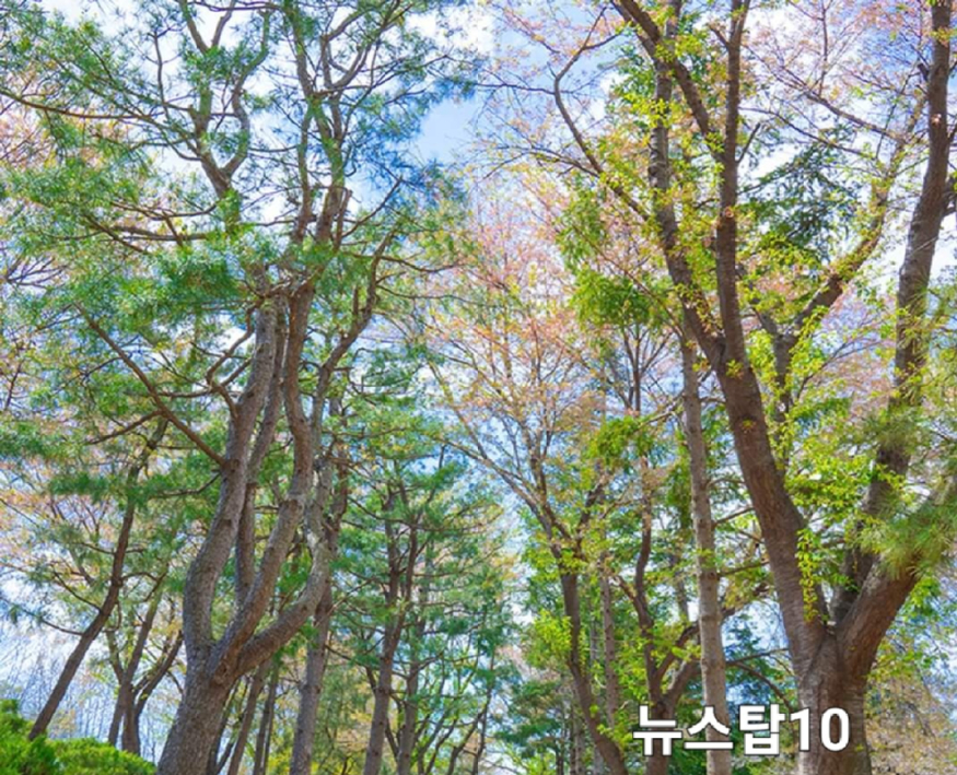 KakaoTalk_20230410_075906699_09.jpg