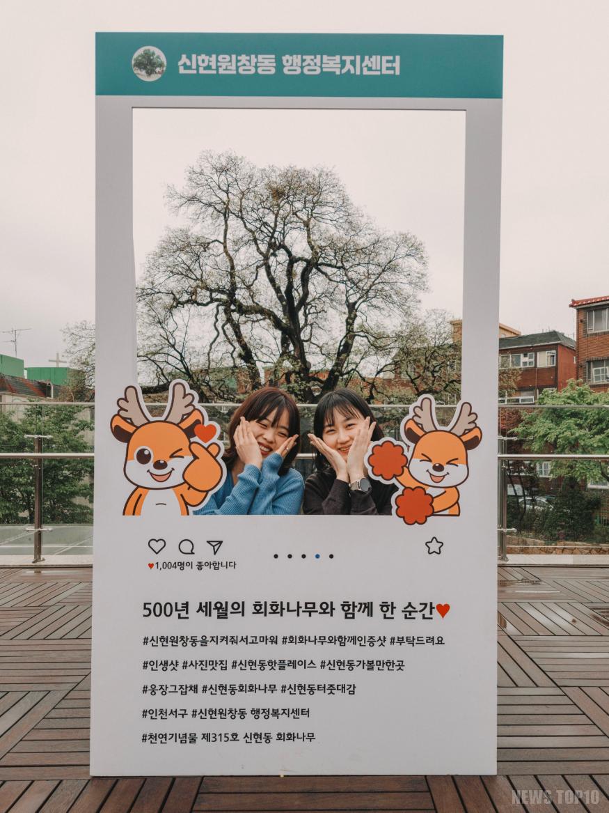 1인천 서구 신현원창동 행정복지센터, 회화나무 포토존 설치 눈길3.jpeg