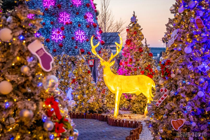 1120 계양구, ‘2025 크리스마스 페스타’ 점등... 환상적인 겨울빛 축제 개막(13).jpg